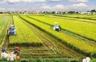 Chủ trương miễn thuế đất nông nghiệp: Không thể miễn giảm tràn lan